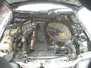 1989 E300 starts then then stops-pict0219.jpg