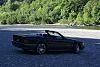 just a beautiful afternoon-dsc04767.jpg