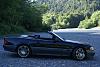 just a beautiful afternoon-dsc04768.jpg