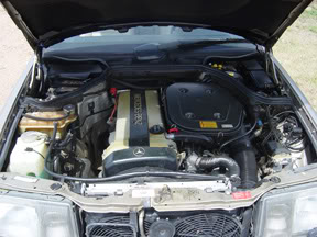 Name:  DSC00106.jpg
Views: 56
Size:  23.9 KB