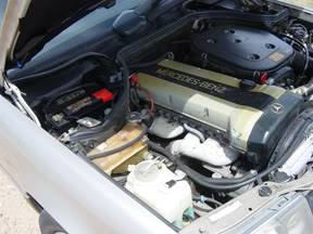 Name:  DSC00107.jpg
Views: 41
Size:  23.0 KB