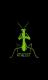 EricC's Avatar